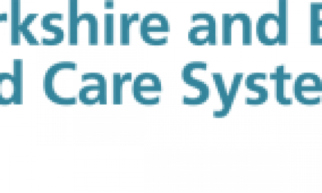 The Children & Young People’s Alliance, South Yorkshire & Bassetlaw Integrated Care Systems